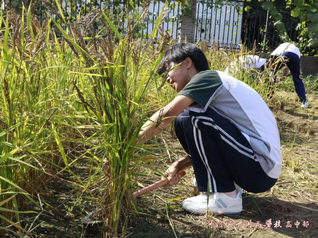 定州人才（五育并举）