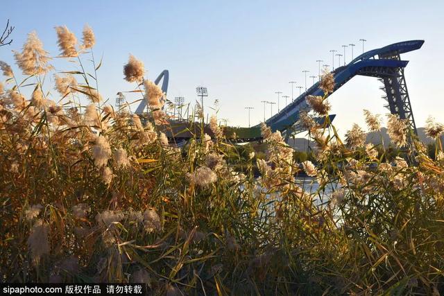 北京冬奥会地点，冬奥会在北京哪里举办（在这4个地方感受工业与冬奥的碰撞）