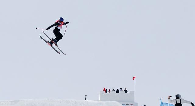 桂子是什么，桂子是什么中药（桂子 ， 长安春词）