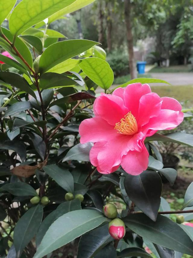 灵魂相似的人一旦相逢，灵魂相似的人一旦相逢是知心朋友（总有一天会在路上相逢）