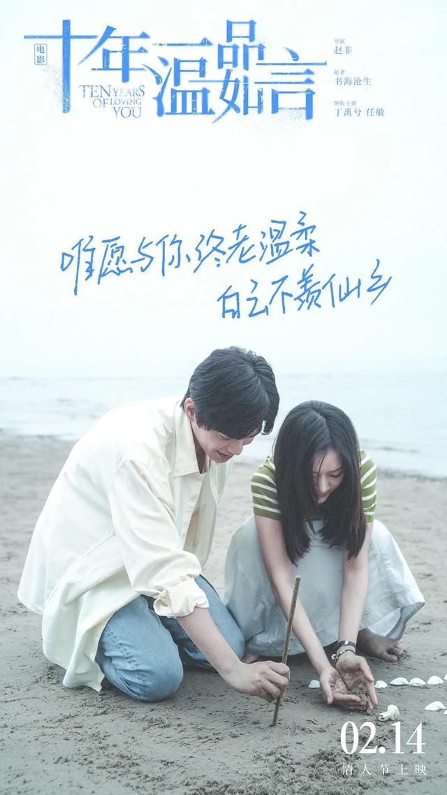 赵非什么电视剧，赵非是哪部剧里的人物（《十年一品温如言》豆瓣评分2.8）