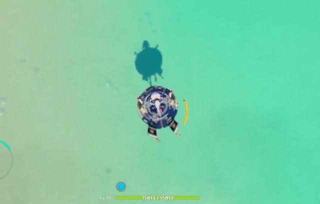 男人的大龟龟图片，龟龟头像微信（不是因为2.6复刻）