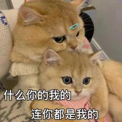 男人不会随便种草莓，男人在什么情况下会种草莓（和室友最难忘的事）