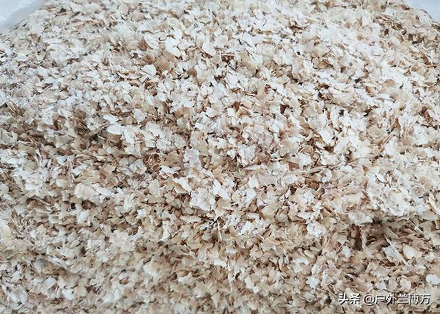 钓鲫鱼绝佳饵料配方，好用的鲫鱼饵料不用买