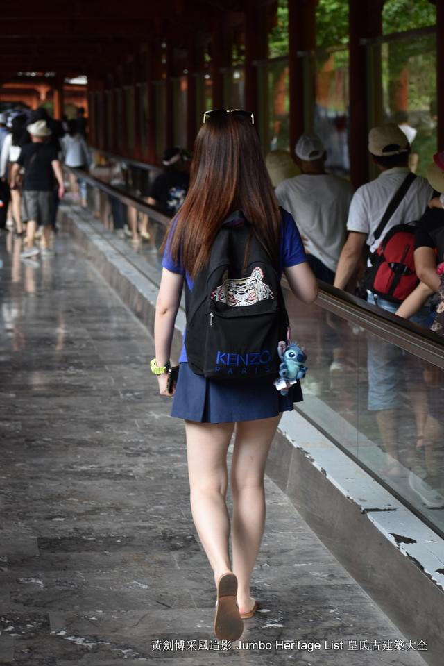 黔南布依族苗族州，娃娃鱼图片大全大图