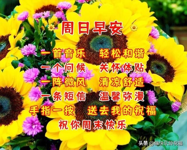 周末愉快短句暖心句子，周末问候语温馨一句话（10月9日周日早上好问候）