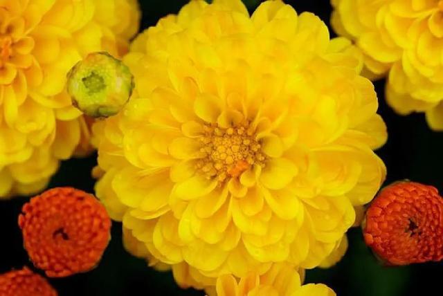 成长感悟的句子，成长感悟的段落摘抄（人生感悟的句子）