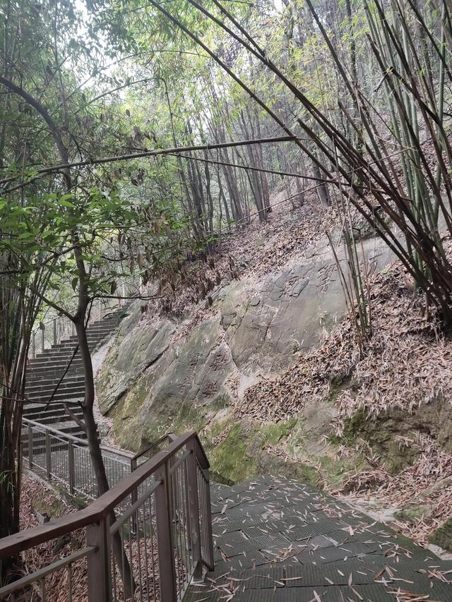 歌乐山森林公园，重庆旅游必去景点（歌乐山国家森林公园）