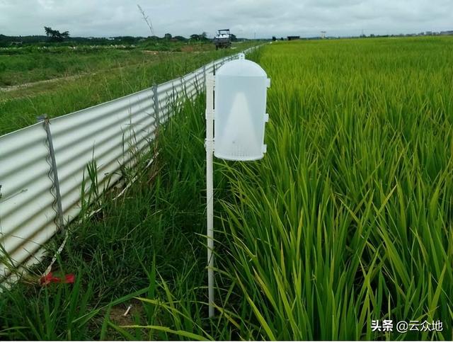 嘧啶核苷类抗菌素，这个药具有超强抑病菌作用（水稻种植能使用的生物农药总结）