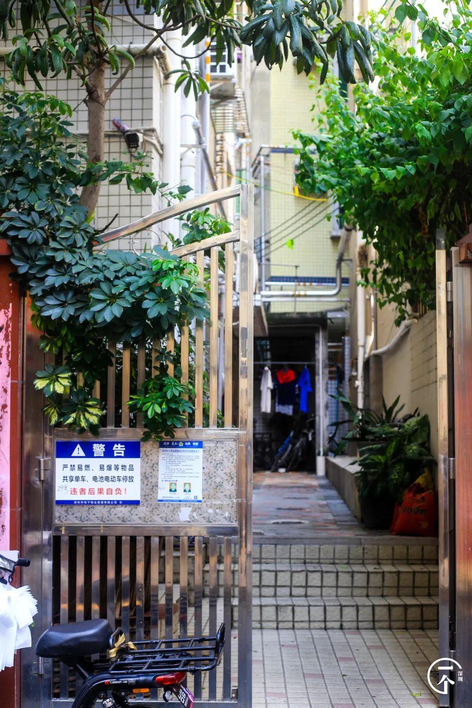 深圳北在哪个区(深圳西站在哪个区)