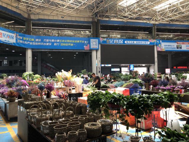 昆明一日游最佳景点一览表，昆明32个最适合一日游的免费景点（四季如春的昆明很适合旅游）