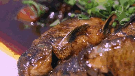 富春江旅游攻略，富春江旅游自由行攻略（中国唯一入选“全球最佳旅行地”）