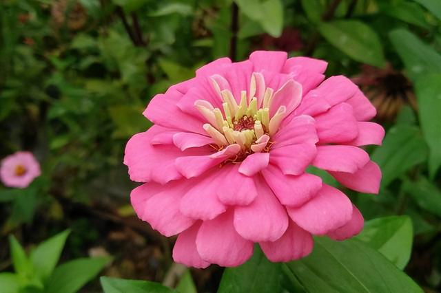 12星座比较擅长做什么，12星座擅长什么本领（巧舌如簧、能说会道的星座）