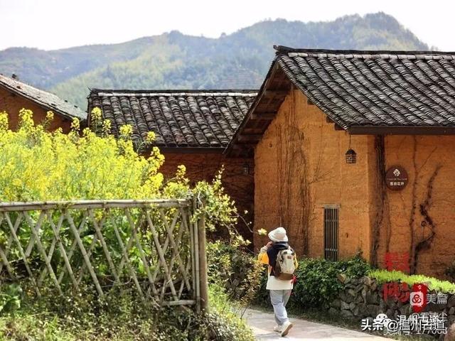 松阳县旅游景点，古韵松阳——江南最后的秘境