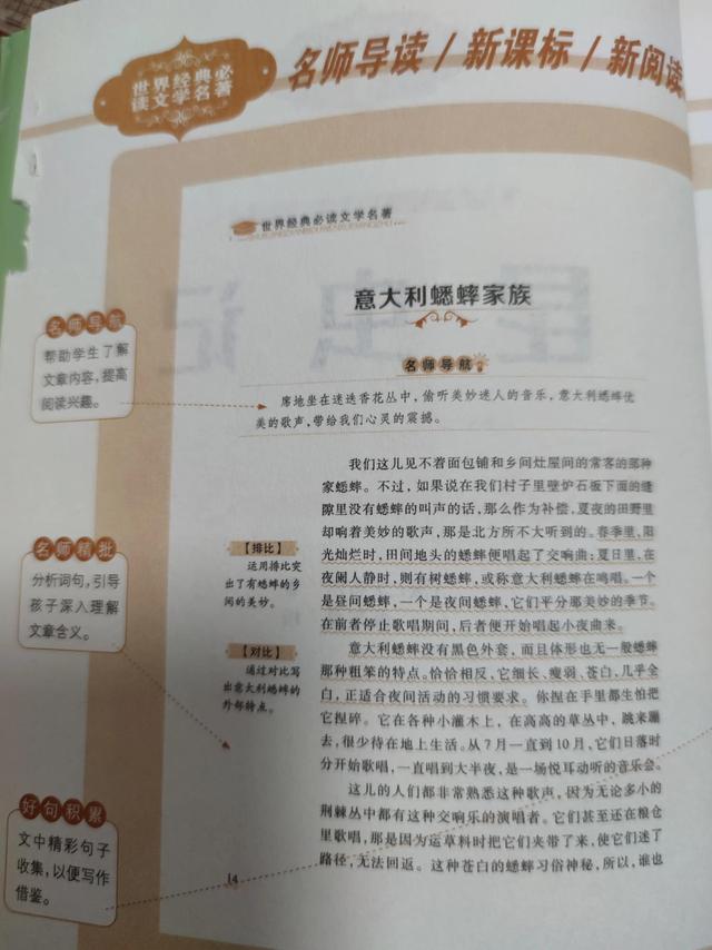 老象虫的外形特点，老象虫外表有何特点（一起读书——《昆虫记》）