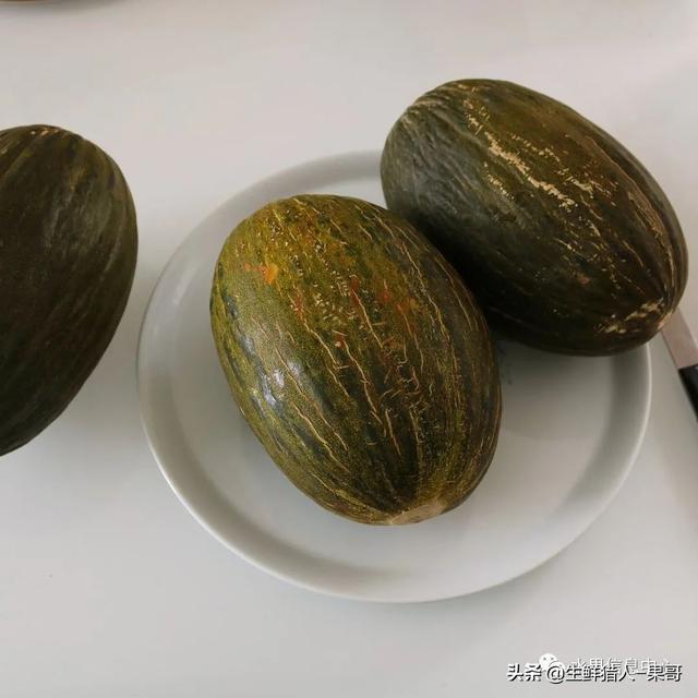 绿色的哈密瓜叫什么，绿色的哈密瓜叫什么名字（哈密瓜、蜜瓜、网纹瓜、香瓜、羊角蜜傻傻分不清）