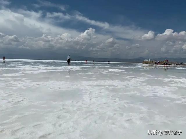 羊蹄子怎么做好吃，酱羊蹄的做法 最正宗的做法（西北人喝酒必上的5个“硬菜”）