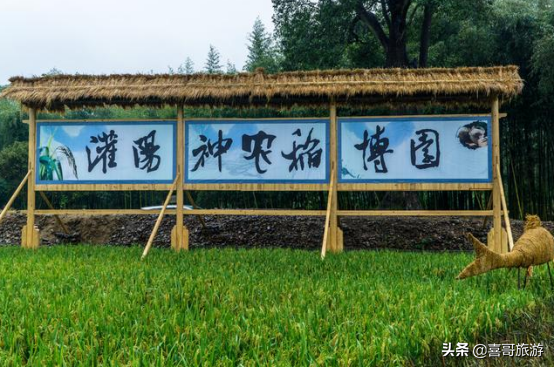 广西桂林十大旅游景点，广西桂林市灌阳县十大景区有哪些