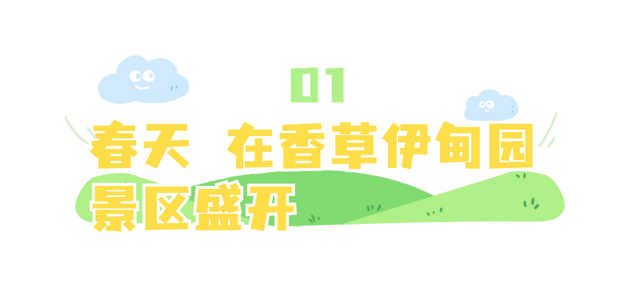 玫瑰花什么时候开，玫瑰花一般在什么时间开花（香草伊甸园玫瑰花开正艳）
