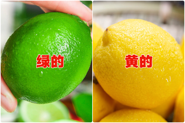 青柠檬和黄柠檬的区别，青柠檬和黄柠檬的区别是什么（要分清“绿的”和“黄的”）