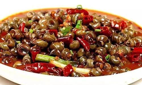 田螺人工养殖技术及注意事项，田螺人工养殖技术及注意事项有哪些（田螺养殖亩产能2-4万元是真的吗）