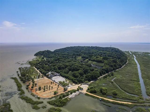 六大茶类的天价茶有多贵，普洱茶叶价格一览表