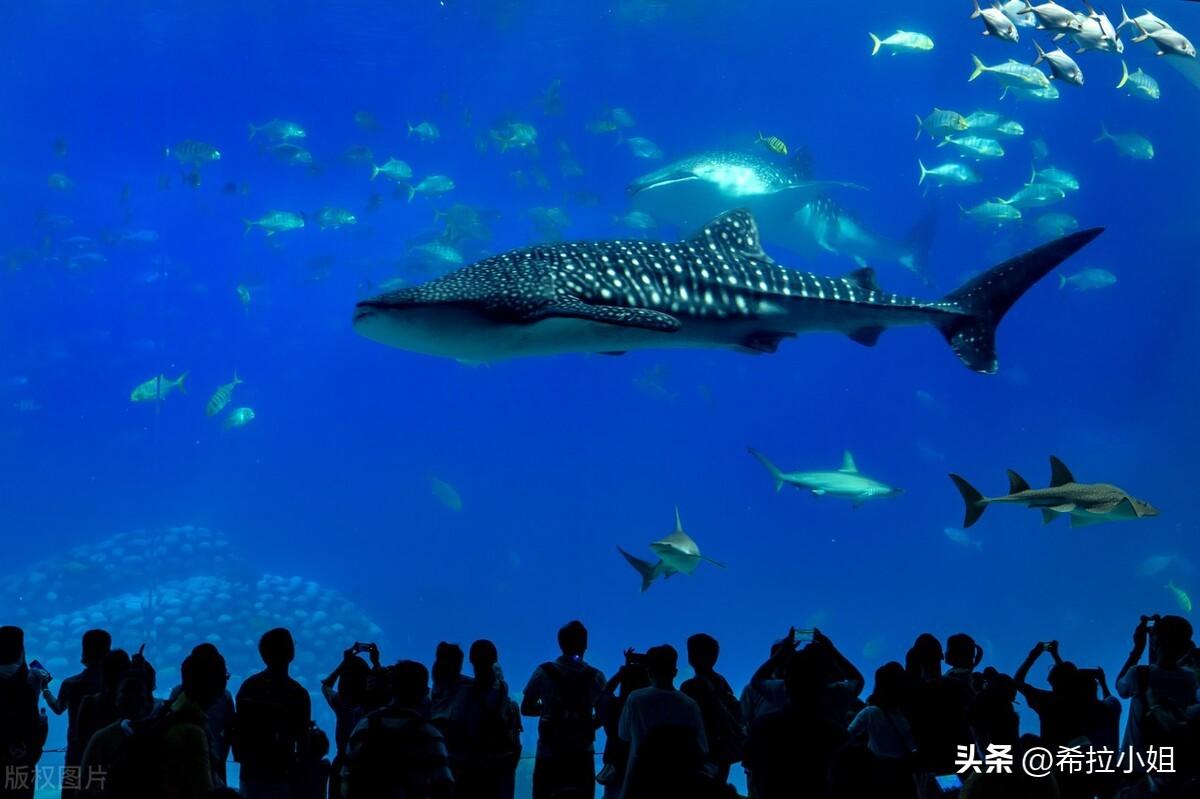 珠海旅游景点，珠海旅游景点攻略（来珠海一定要去的11个旅游景点）