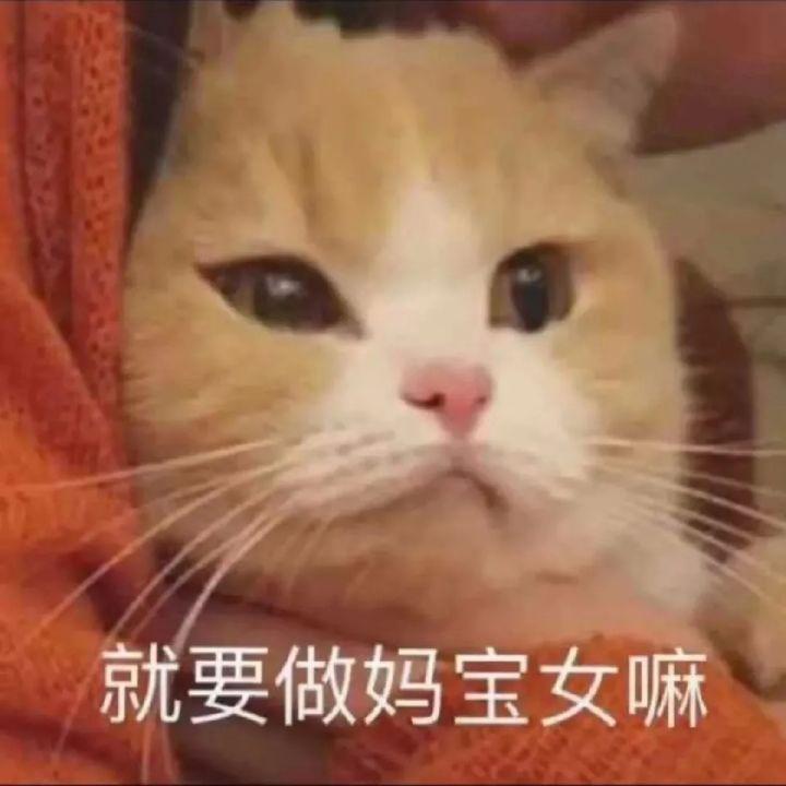 好看的表情包(10000种表情包图片大全)