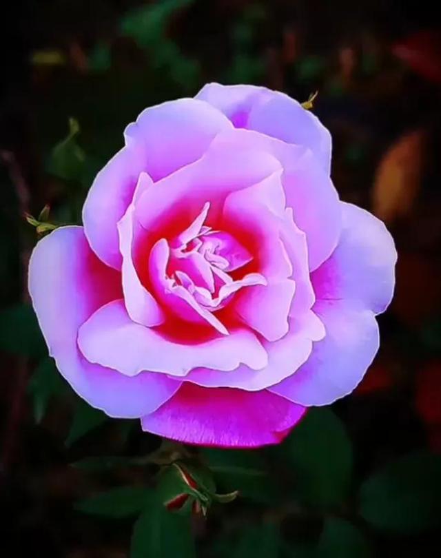 关于担心牵挂的句子，关于担心牵挂的句子古诗（注定是一生的牵挂惦念）