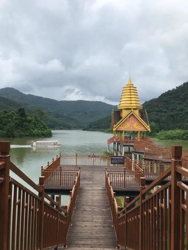 望天树，中国最高的树——望天树（望天树景区旅游攻略）