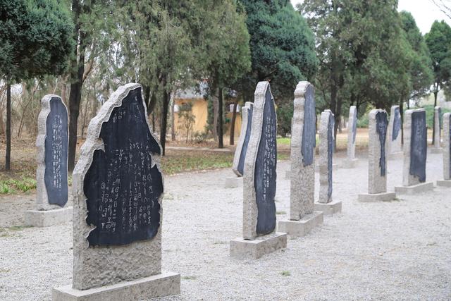 大学文科类专业介绍，大学文科专业大全（属于文科生稀缺专业）