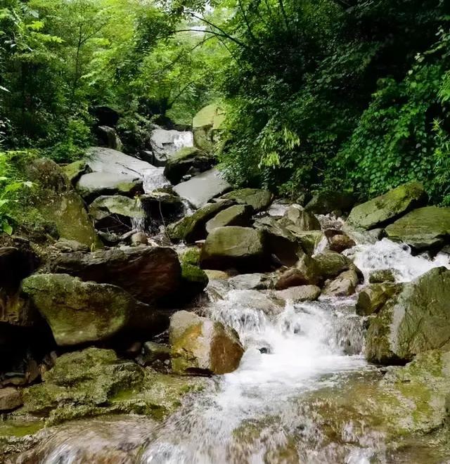 千佛山森林公园，千佛山在哪（不收门票的5个成都周边“小森林”）