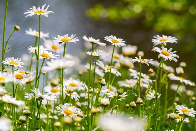 让男人听了更爱你的话，如何让男人听了更爱你的话（才会常常跟你说这三句话）