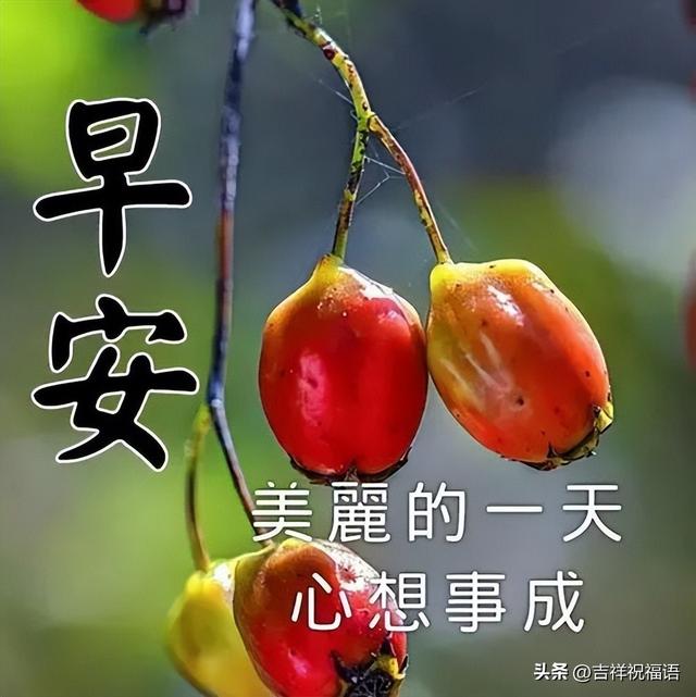 最新早上好图片 思念图片