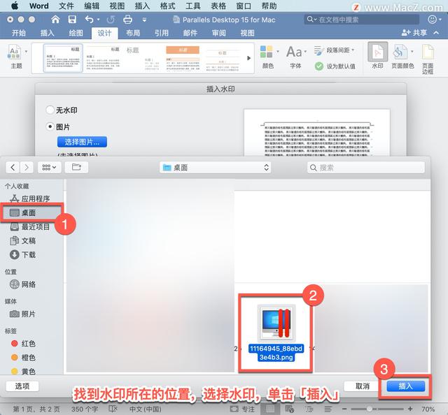 Microsoft Word 教程，如何在 Word 中插入水印？