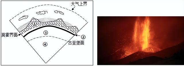 世界八大珍稀植物，2023届高考地理题型突破——必修一