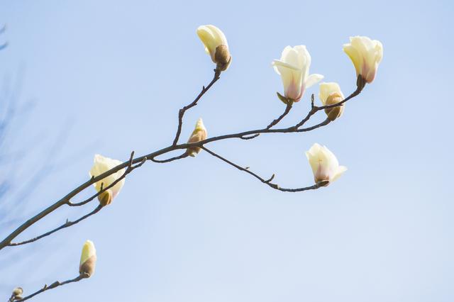 回忆初见唯美句子，回忆初相识的句子（人生最美，莫若初见）