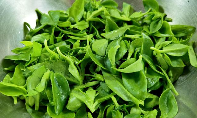 三七食用方法，三七食用方法和功效（黄瓜、苦瓜靠边站）