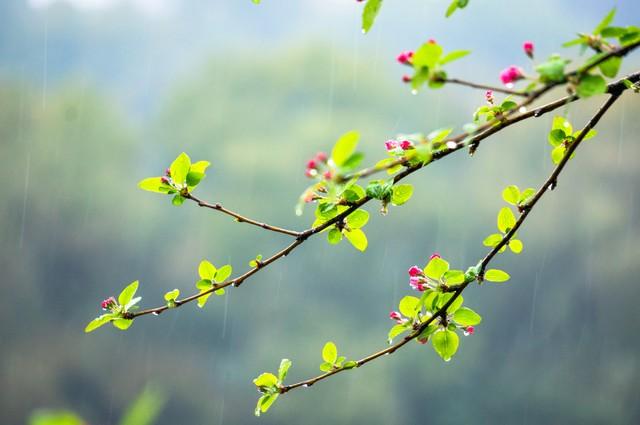 5月13日是什么日子，“不怕五月十三雨