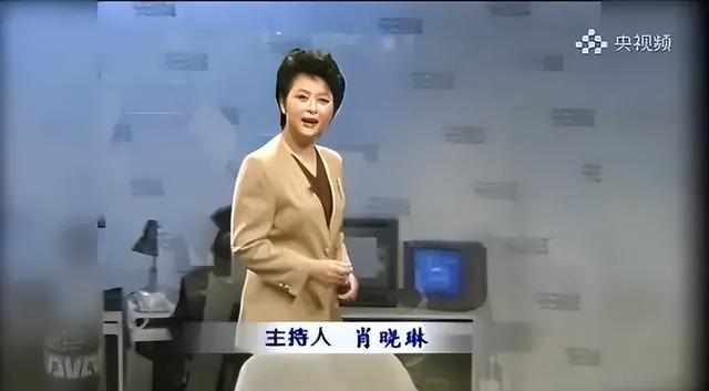 cctv主持人，最美cctv主持人（央视再也见不到的4位主持人）