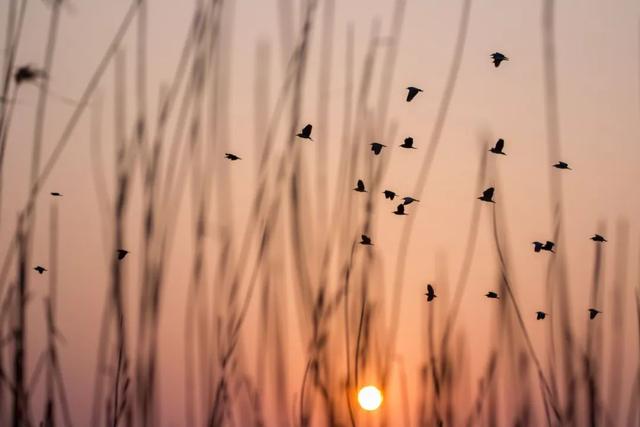 秋分日是几月几日，秋分是几月几日（秋分 ， 一年中最美的时节）