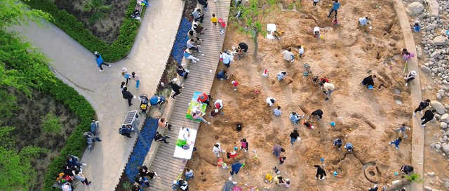 郑州周边免费景点，郑州最近免费旅游景点大全（不出郑州的8个赏花遛娃地）