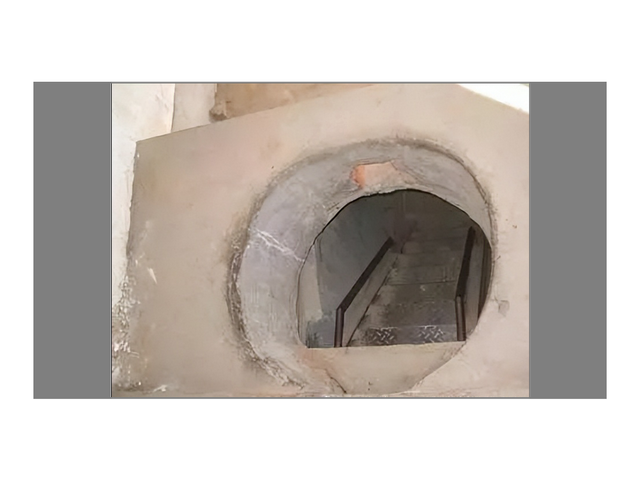 十大惊人奇闻怪事，十大奇闻趣事