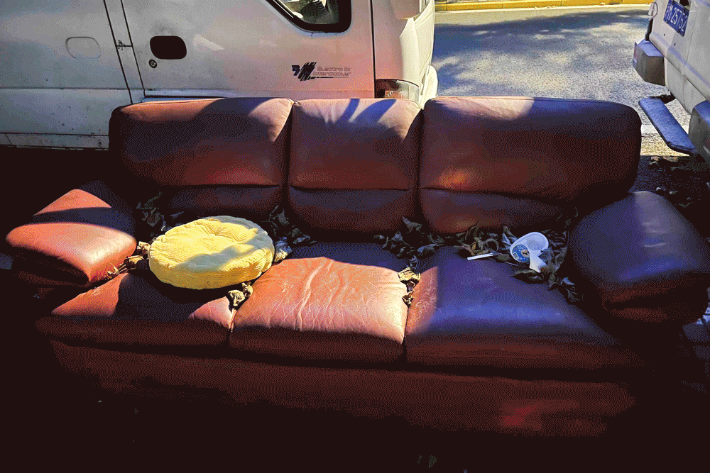 父母自由职业怎么填，父母自由职业怎么填_父母自由职业怎么填单位_父母自由职业怎么填职务（捡垃圾的95后：低物欲）