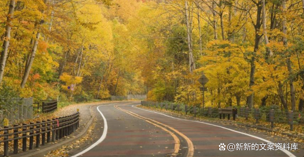 女人的说说，女人的说说唯美句子（女人发朋友圈正能量文案）