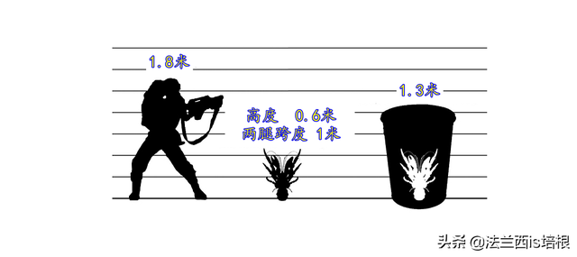 椰子蟹能吃吗，椰子蟹能吃吗肚子里是屎嘛（爬上食物链顶端的椰子蟹）