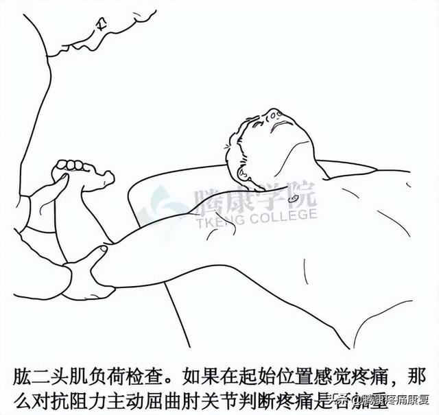 biceph，肩关节的特殊检查（bicep curl）