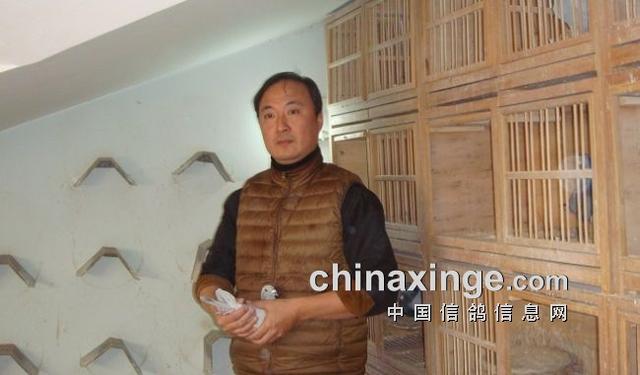 什么鸽子引天落，什么叫天落鸽子（引赛绩鸽修得正果——飞出三关鸽王冠军）