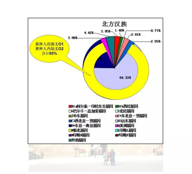 华夏族是指什么民族，中华民族简史