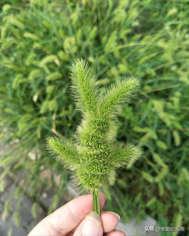 儿时的简易自制玩具，7080年代农村孩子自制49个纯天然玩具